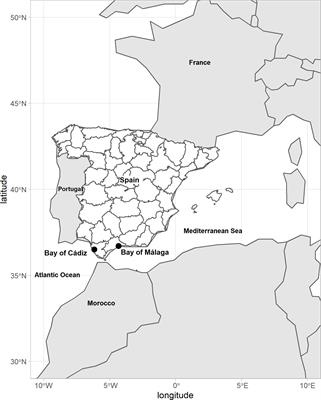 Growth, biofiltration and photosynthetic performance of Ulva spp. cultivated in fishpond effluents: An outdoor study
